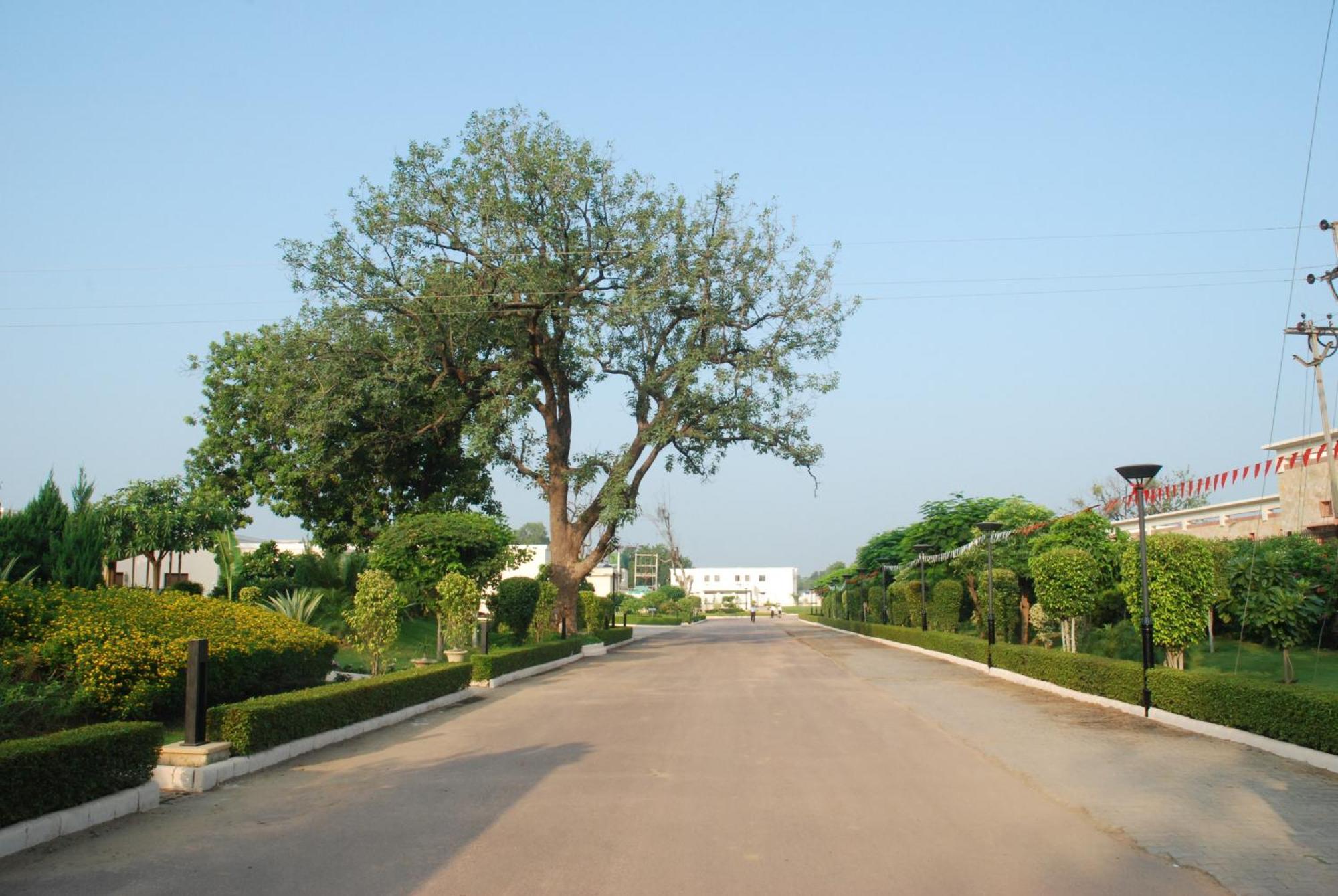 Hotel The Lalit Temple View Khajurāho Zewnętrze zdjęcie
